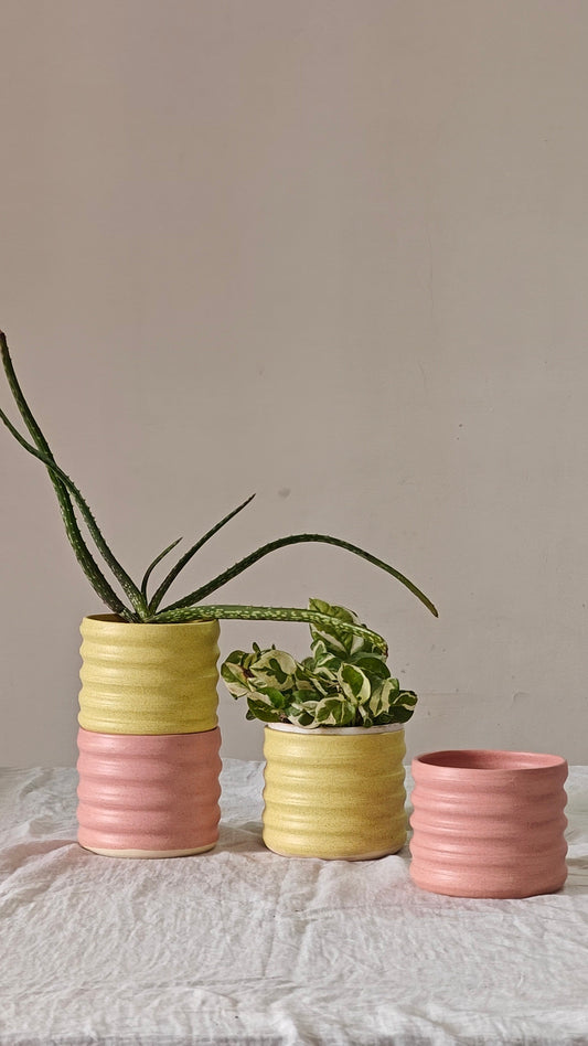 Pink Planter